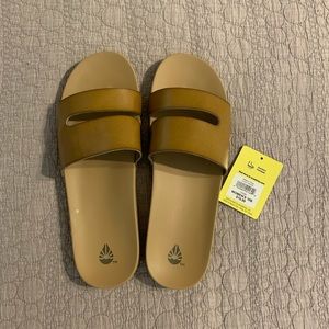 Slides